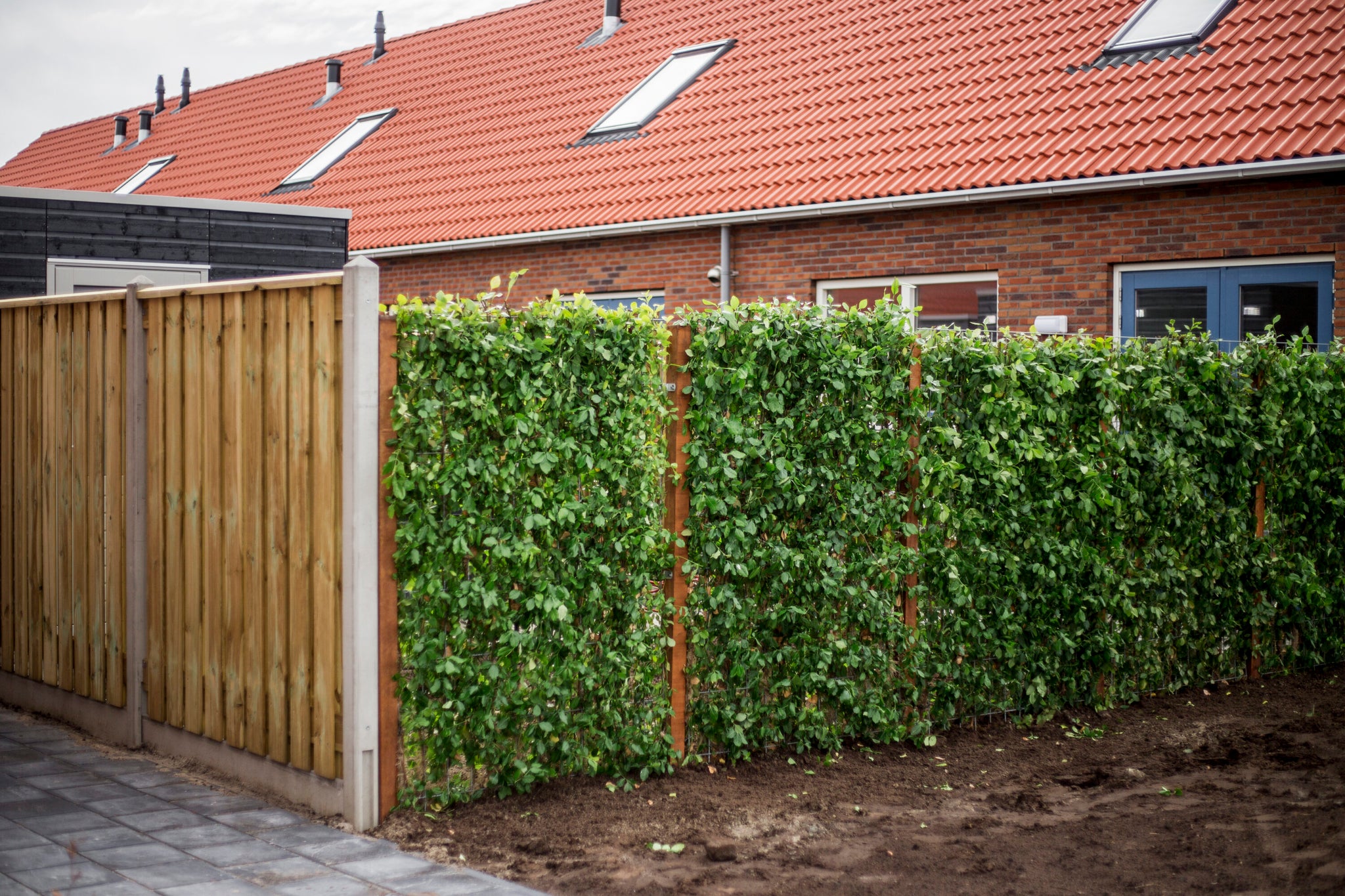 Privacy i din have: sådan går du fra nysgerrige naboer til grønne mure