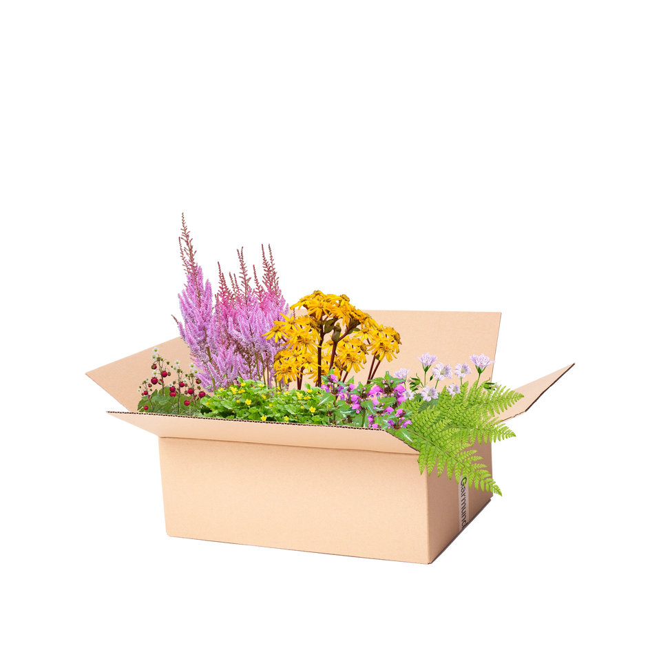 Færdigbed minimal vedligeholdelse