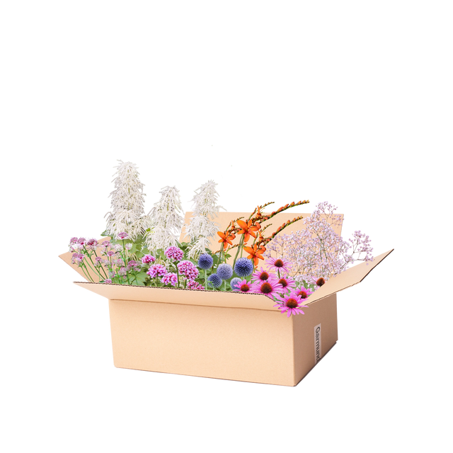 Færdigbed snitblomster