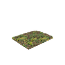 Sedum vegetationsmåtter