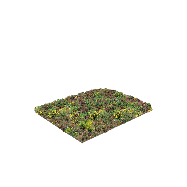 Sedum vegetationsmåtter
