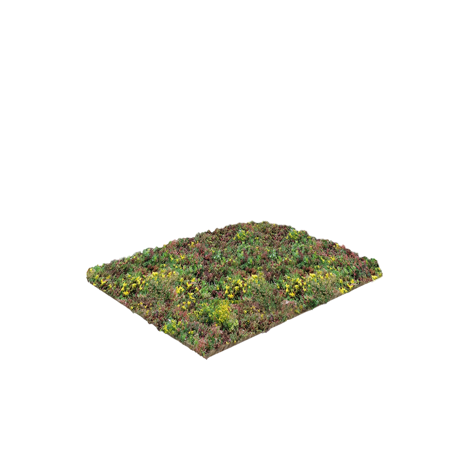 Sedum vegetationsmåtter