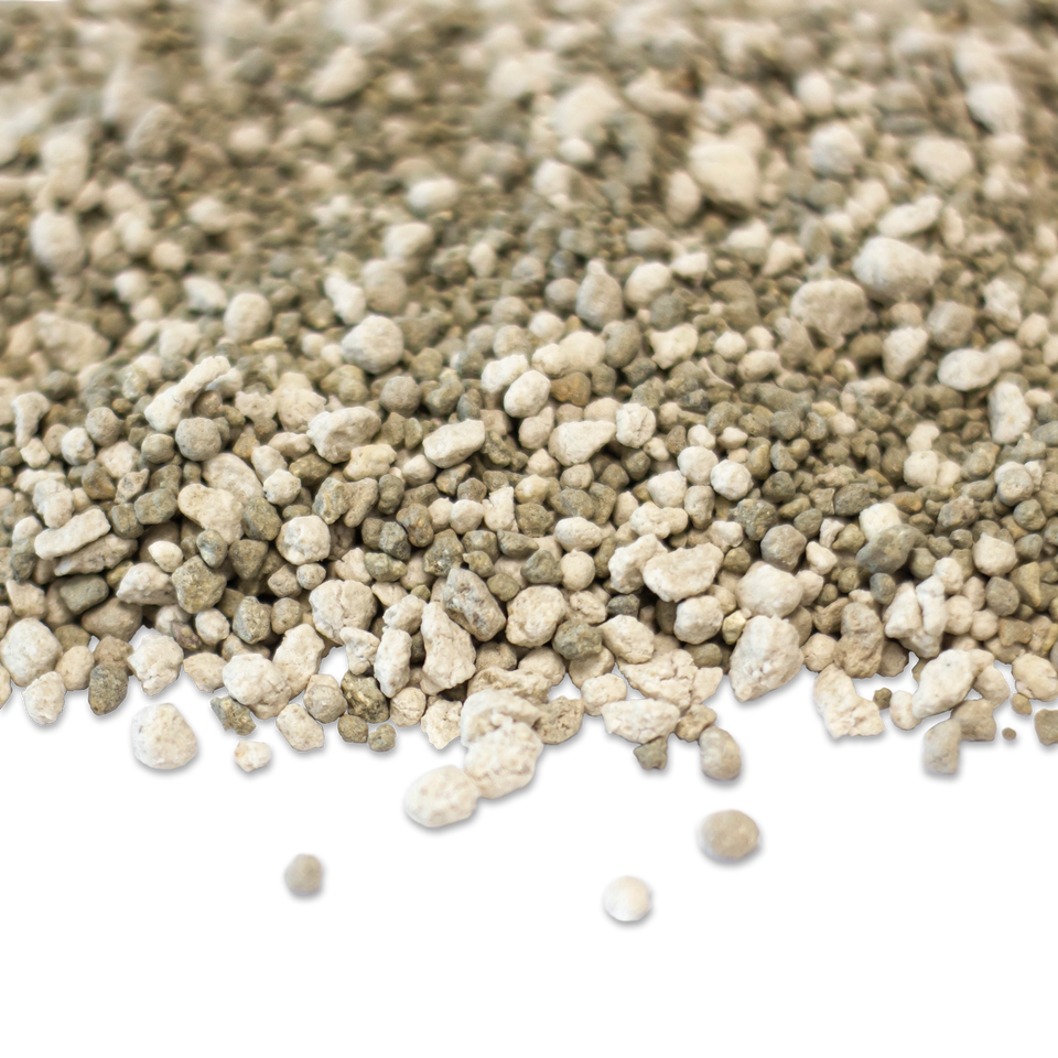 Sedum Nutrition 1KG