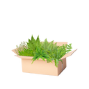 Færdigbed bregner premium