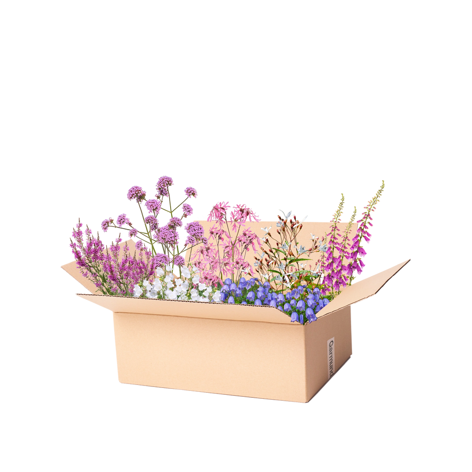Færdigbed vildt bed